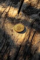 Bitcoin coin resting on a wooden surface illuminated by natural light at sunset photo