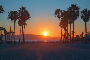 Sunset view over a serene beach with palm trees and gentle waves at a tropical destination photo