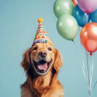 Happy dog celebrating a birthday with colorful balloons against a bright blue background photo