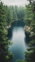 Tranquil forest lake surrounded by lush greenery on a calm day in nature photo