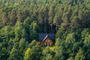 Charming wooden cabin surrounded by lush forest under soft lighting at dusk photo