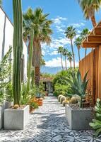 Pathway bordered by cacti and palm trees in a modern landscape design photo