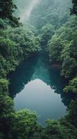 Tranquil forest lake surrounded by lush greenery on a calm day in nature photo