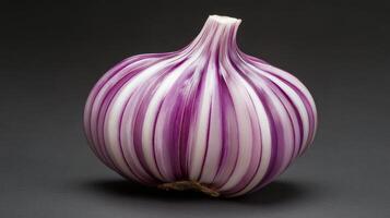 Unique striped garlic bulb with vibrant colors against a dark background photo