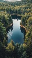 Tranquil forest lake surrounded by lush greenery on a calm day in nature photo