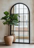 Fiddle leaf fig tree in stylish indoor setting with large window and decorative mirror photo