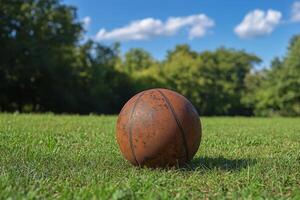 Basketball resting on grass under a blue sky with autumn trees in a park setting photo