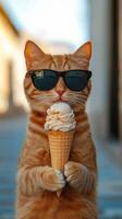 Cat wearing sunglasses happily enjoys ice cream cone on a sunny day photo