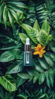 Green bottle surrounded by lush leaves in a natural setting showcasing eco-friendly products photo