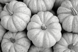 Colorful assortment of pumpkins arranged on a wooden table surrounded by garden foliage photo