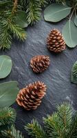 Natural pinecones arranged among green leaves on dark slate background for decorative display photo