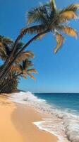Waves crashing on sandy beach with palm trees and clear blue sky in the background photo