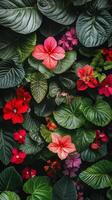 Beautiful red flowers bloom among green foliage in a dense forest photo