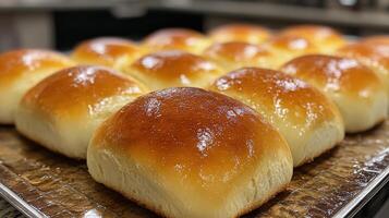 Freshly baked golden dinner rolls cooling on a tray in the kitchen photo