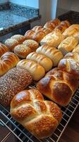 Freshly baked assorted bread rolls on display at a local bakery for customers to choose from photo