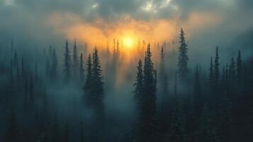 Dappled sunlight streaming through a serene forest at dawn illuminating wildflowers and trees photo