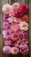 Bright pink flowers arranged artistically on a wooden background for decoration or design purposes photo