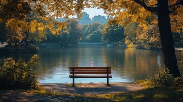 Couple enjoys sunset view in park surrounded by autumn foliage in evening light photo