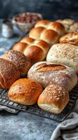 Freshly baked assorted bread rolls on display at a local bakery for customers to choose from photo