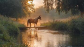 Peaceful afternoon in a lush garden with a quaint bridge and grazing horse photo