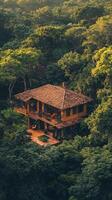 Cozy rustic house nestled in vibrant green forest surrounded by towering trees and lush vegetation photo