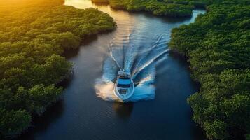 Boater navigates peaceful mangrove river at golden hour with sunlight filtering through trees photo