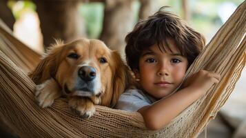 Child and golden retriever relaxing together in a hammock on a sunny day photo
