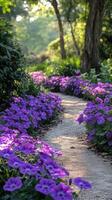 Beautiful garden path lined with vibrant purple flowers in springtime sunlight photo