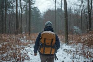 Hiker exploring a sunlit forest trail with a large backpack during golden hour photo