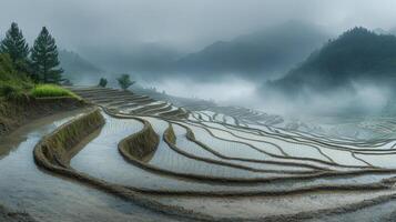 Stunning terraced rice paddies surrounded by misty mountains under a cloudy sky photo