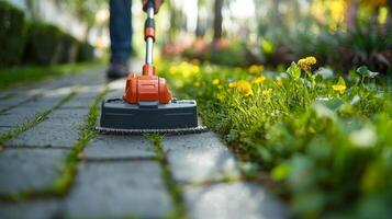 Gardener trims grass along a stone pathway in a vibrant garden during springtime photo