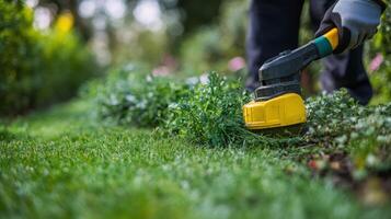 Gardener trims grass along a stone pathway in a vibrant garden during springtime photo