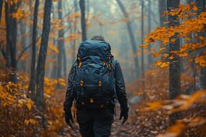 Hiker exploring a sunlit forest trail with a large backpack during golden hour photo