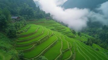 Stunning terraced rice paddies surrounded by misty mountains under a cloudy sky photo
