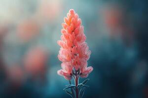 Colorful pink flower stands out against a blurred blue and pink background in a serene setting photo