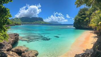 Tranquil beach with clear waters and lush greenery on a sunny day in a tropical paradise photo