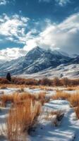 Scenic winter landscape with snow-covered mountains and trees under a cloudy sky photo
