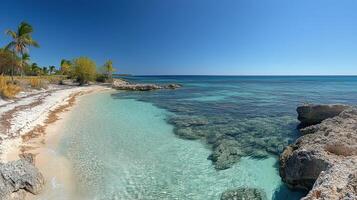 Tranquil beach with clear waters and lush greenery on a sunny day in a tropical paradise photo
