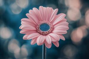 Colorful pink flower stands out against a blurred blue and pink background in a serene setting photo