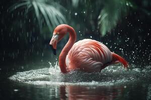 Flamingo splashing in water creating ripples under soft sunlight in a vibrant setting photo