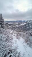 Scenic winter landscape with snow-covered mountains and trees under a cloudy sky photo