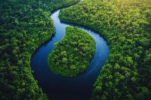 River winding through lush green rainforest creating a serene oasis in the heart of nature photo
