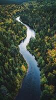 Majestic river flowing through lush forested valley during autumn season photo