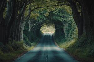 Scenic road through a canopy of trees in a serene countryside setting during daytime photo