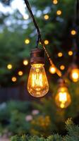 Decorative string lights illuminate a garden during a relaxing evening gathering in late summer photo