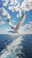 Seagull soaring above calm ocean waters on an overcast day photo