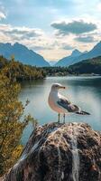 Seagull perched on a rock by a tranquil lake surrounded by autumn-colored trees photo