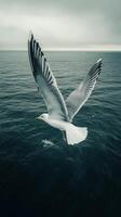 Seagull soaring above calm ocean waters on an overcast day photo