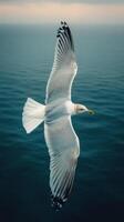 Seagull soaring above calm ocean waters on an overcast day photo