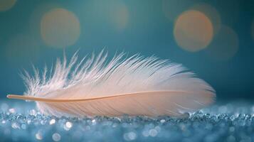 Delicate feather resting on soft blue fabric in tranquil natural light photo